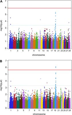 Functional Variants Associated With CMPK2 and in ASB16 Influence Bovine Digital Dermatitis